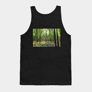 Rays of light in the forest Tank Top